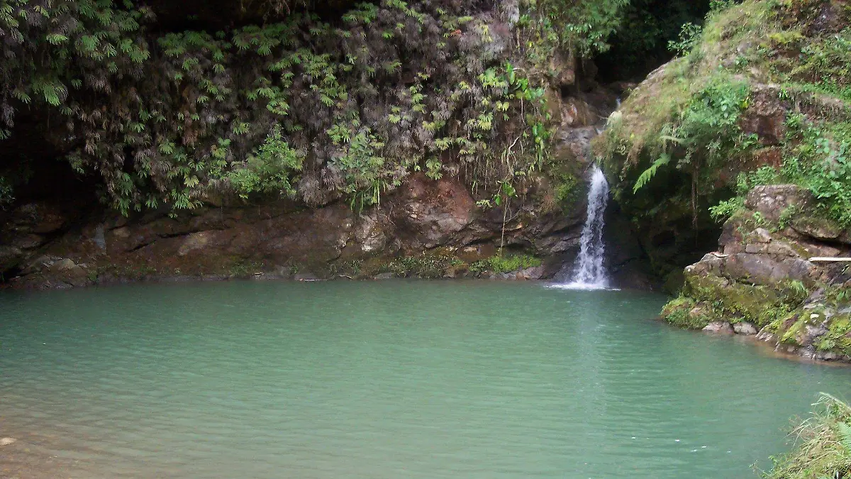 El cenote Poza Verde, ubicado en Xixingo de los Reyes, fue presentado como un nuevo atractivo natural de Tulcingo del Valle