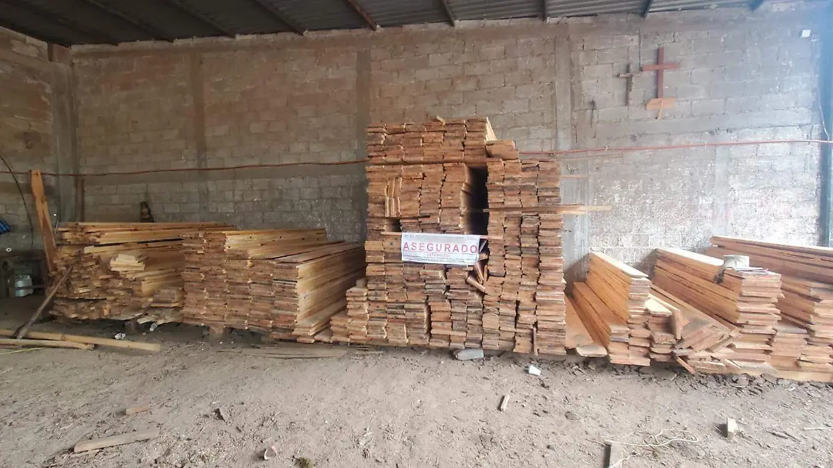 Un operativo de inspección de la Profepa en Puebla derivó en el aseguramiento de madera y equipo