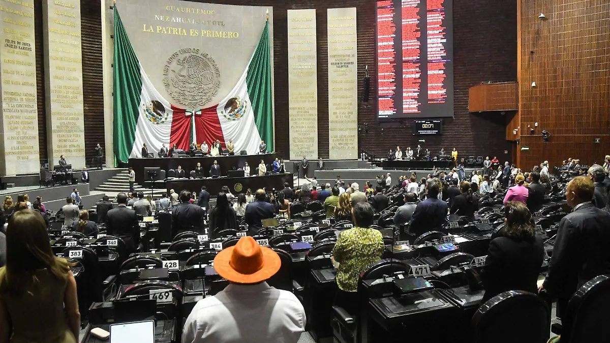 1078471_Sesión Diputados Ley Feminicidio_web
