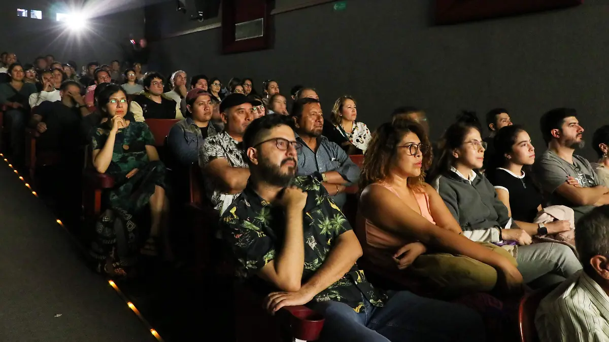 Durante varios días, el público podrá disfrutar de una programación integrada por 13 películas de distintos países