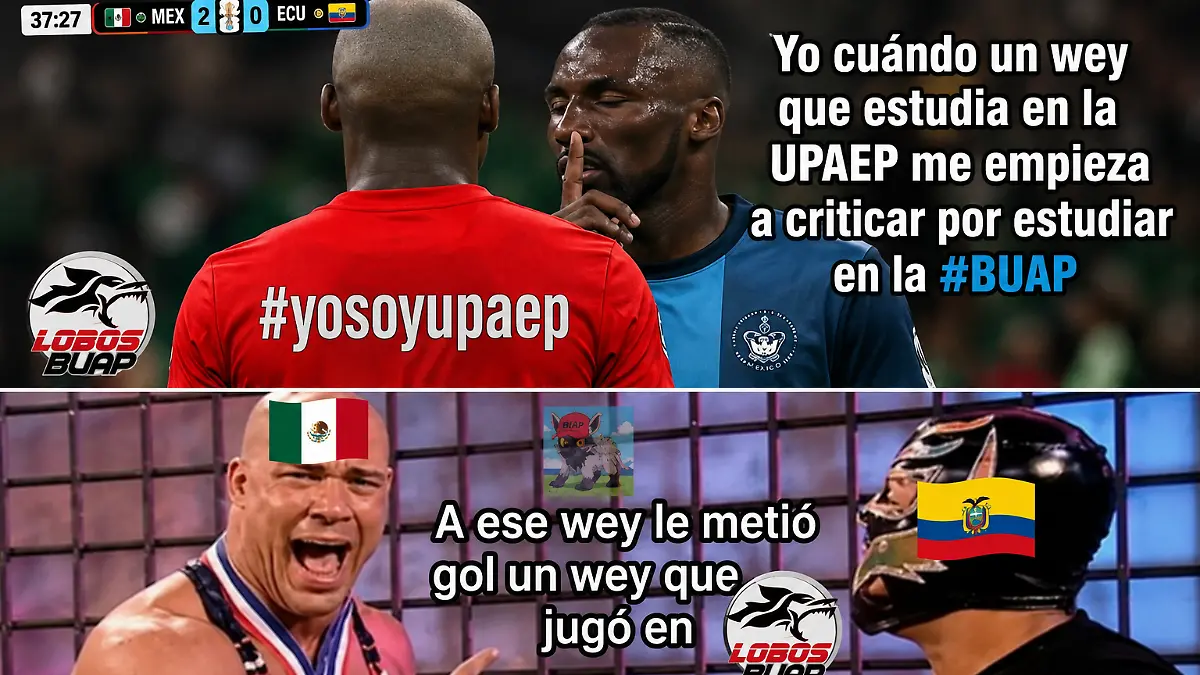 Paginas