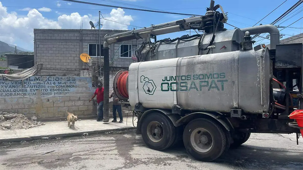 Se presume que podrían provenir de una actividad irregular relacionada con el sacrificio o procesamiento de aves