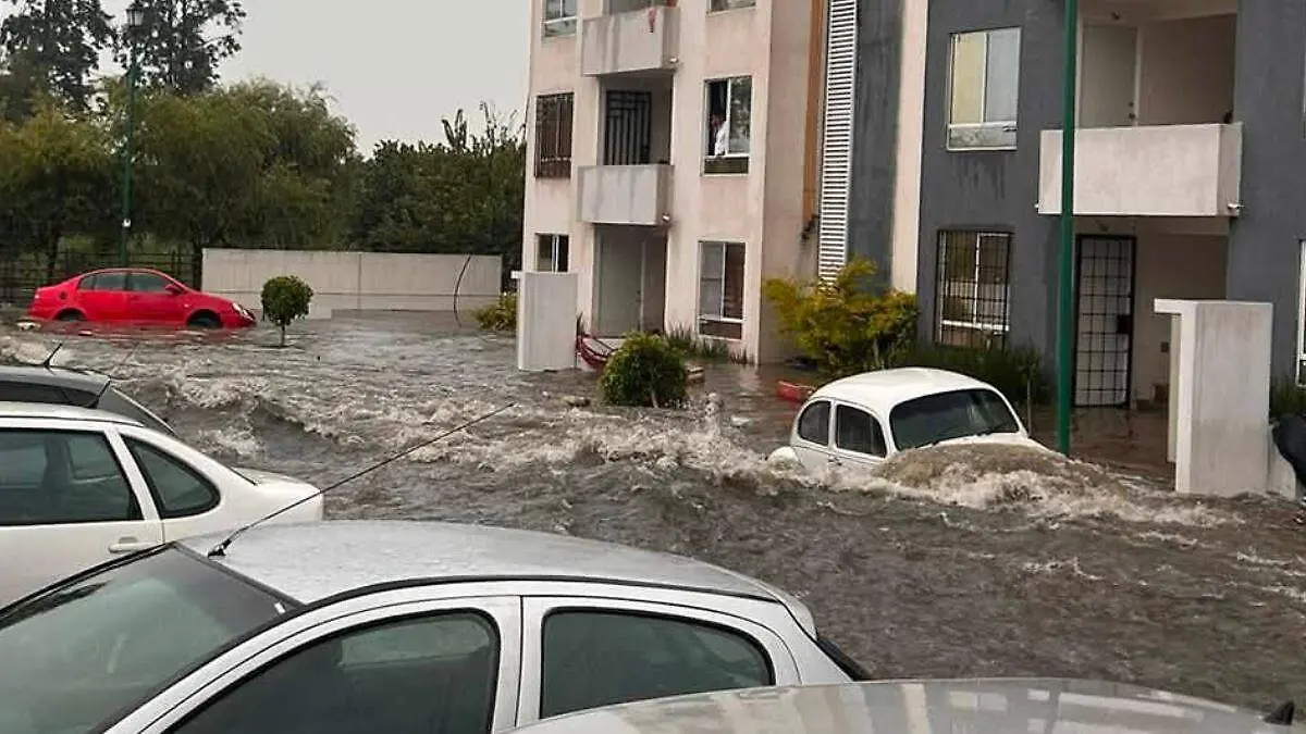 Proyecto nuevo
