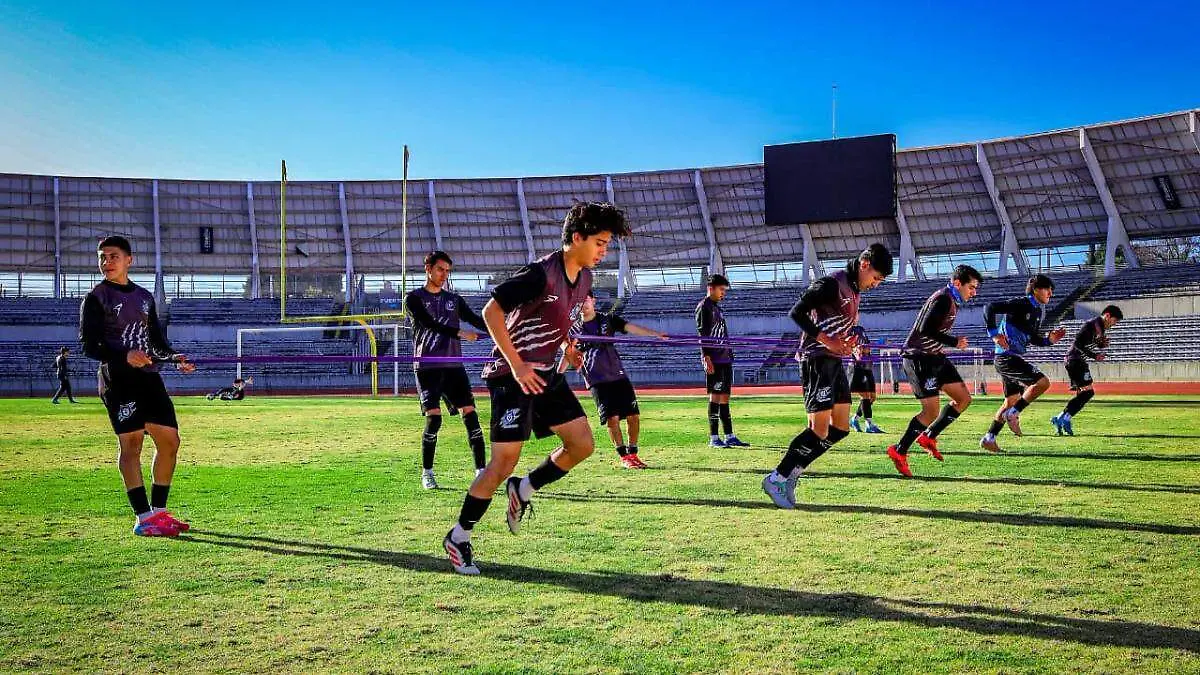 Proyecto nuevo