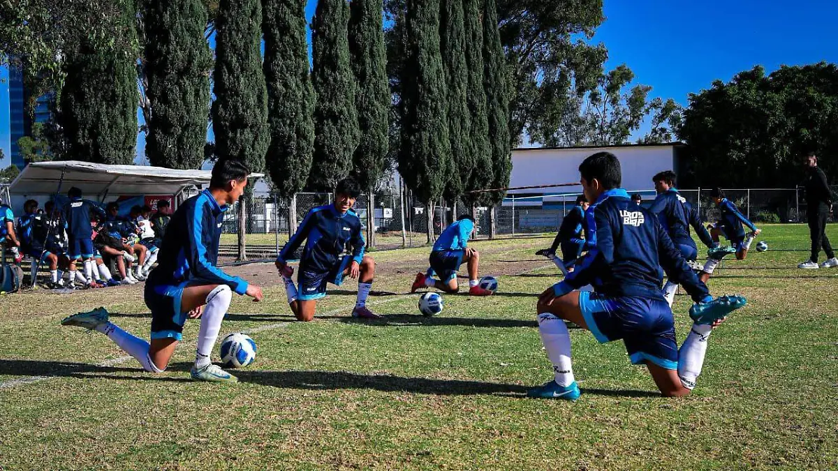 Lobos BUAP