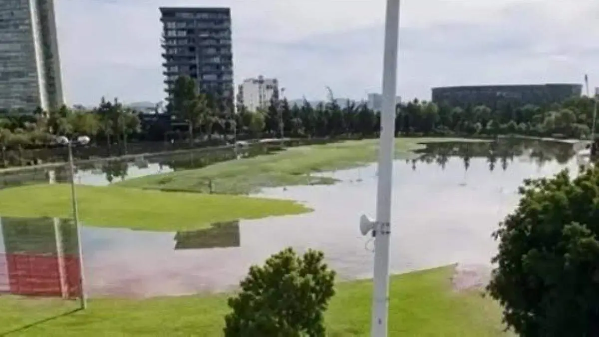 Proyecto nuevo
