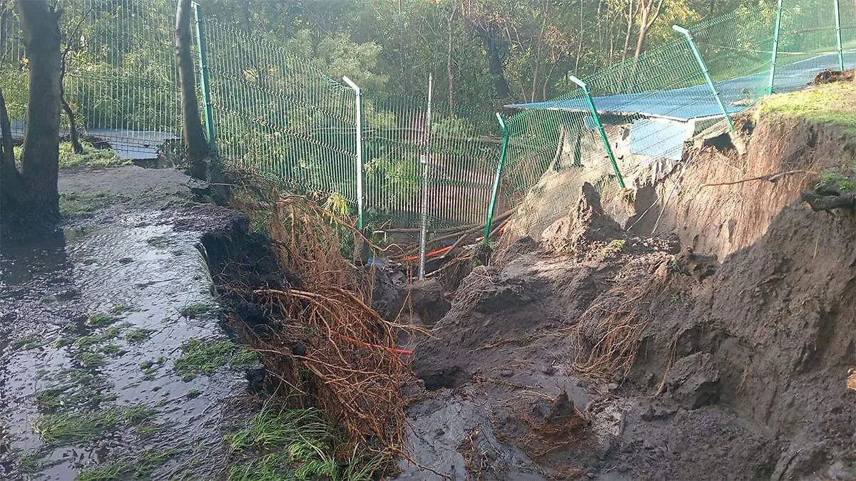 El personal del parque procedió a delimitar la zona