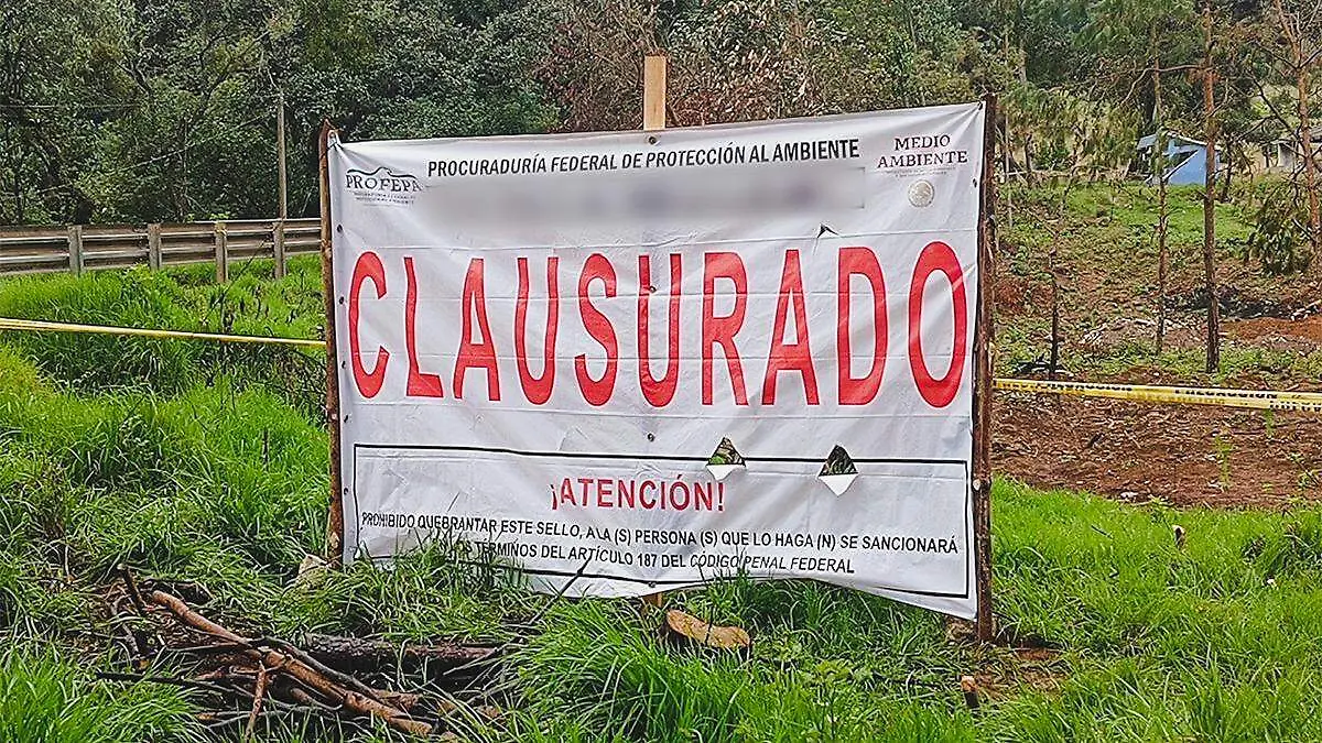La Profepa también anunció que este tipo de inspecciones forman parte del programa permanente de vigilancia