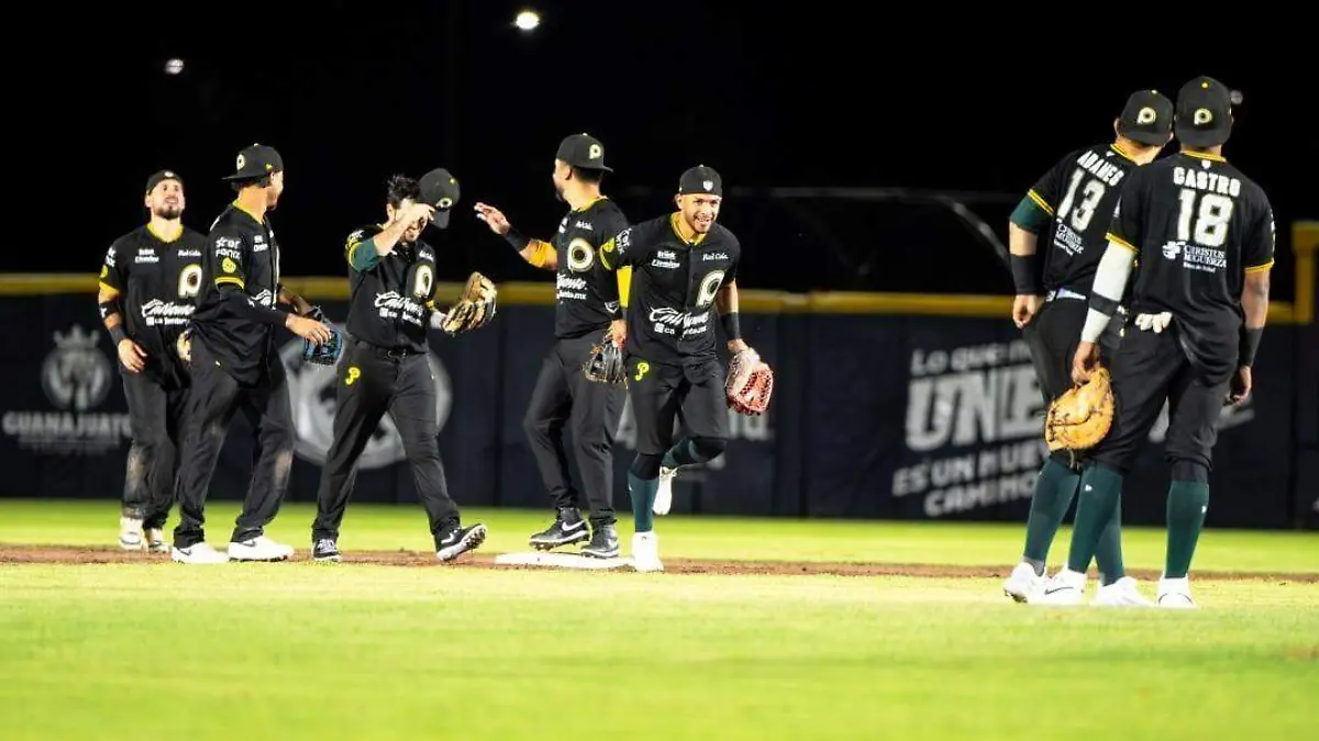 Pericos