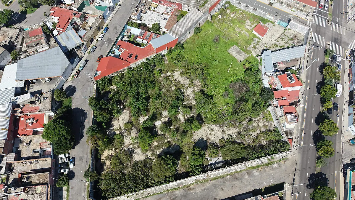 DJI_20260714103955_0052_D.JPG