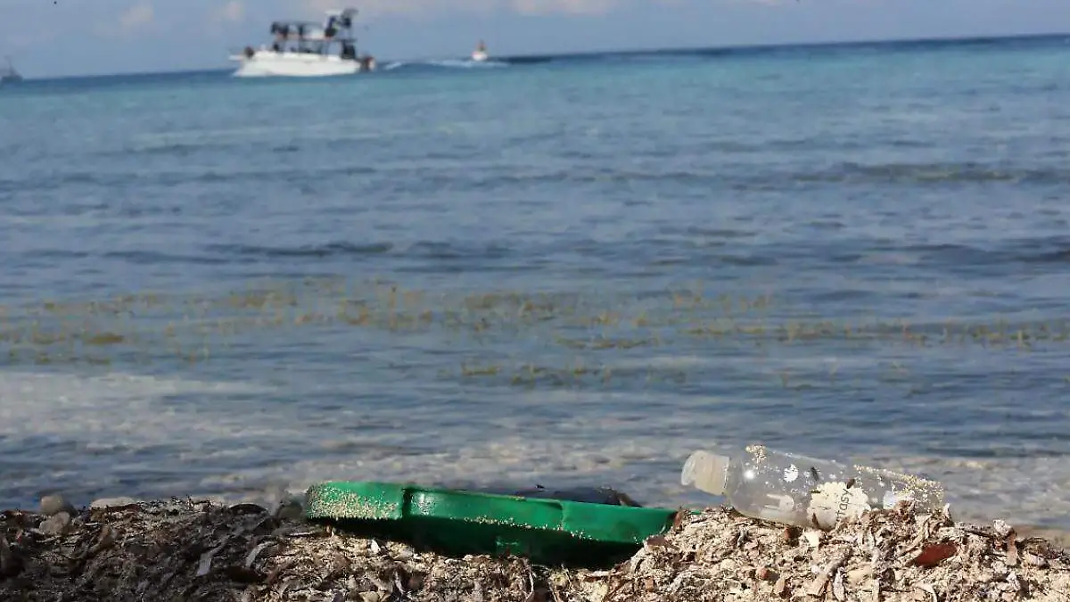 microiplasticos en el mar