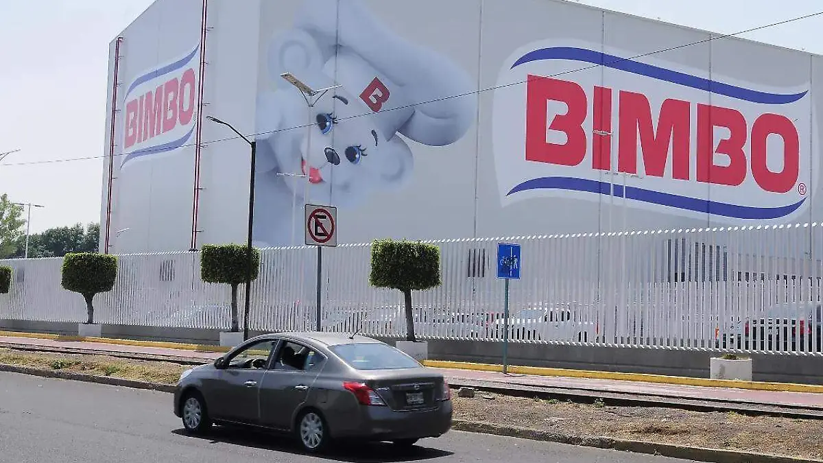Bimbo1