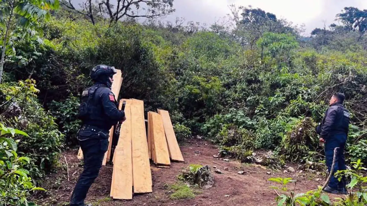 Pobladores de Coyomeapan, Eloxochitlán y Zoquitlán, quienes durante años han denunciado la tala ilegal