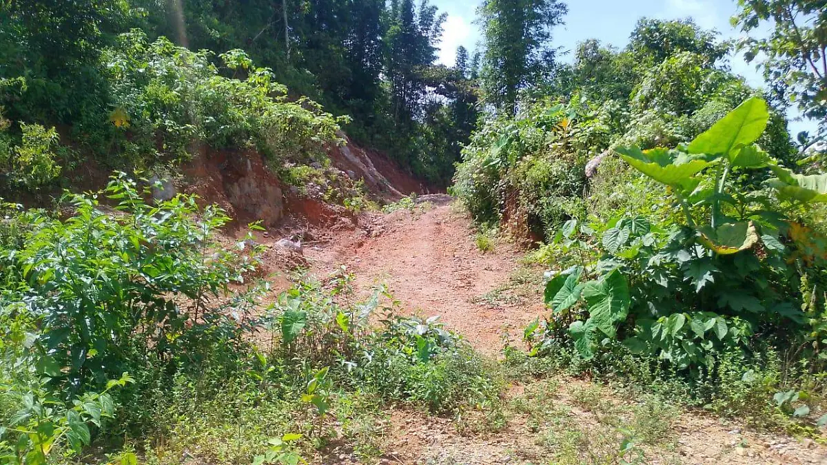 El acceso a la localidad parte de la carretera de Oztopulco hacia Ocotitla