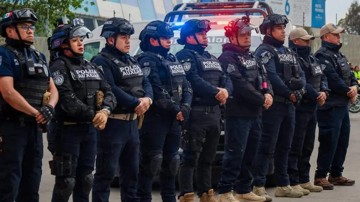 elementos policia auxiliar