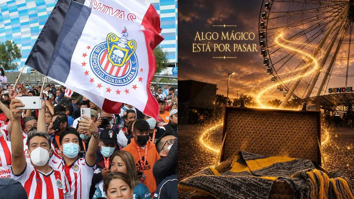 Chivas y harry potter