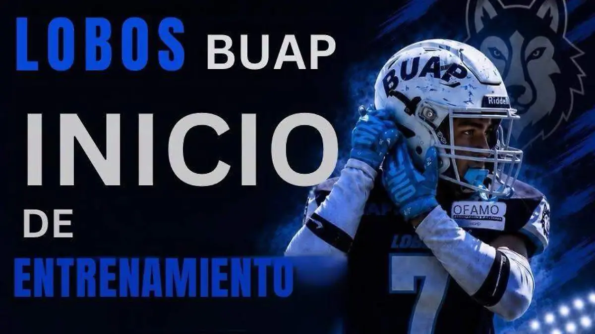 Lobos te espera