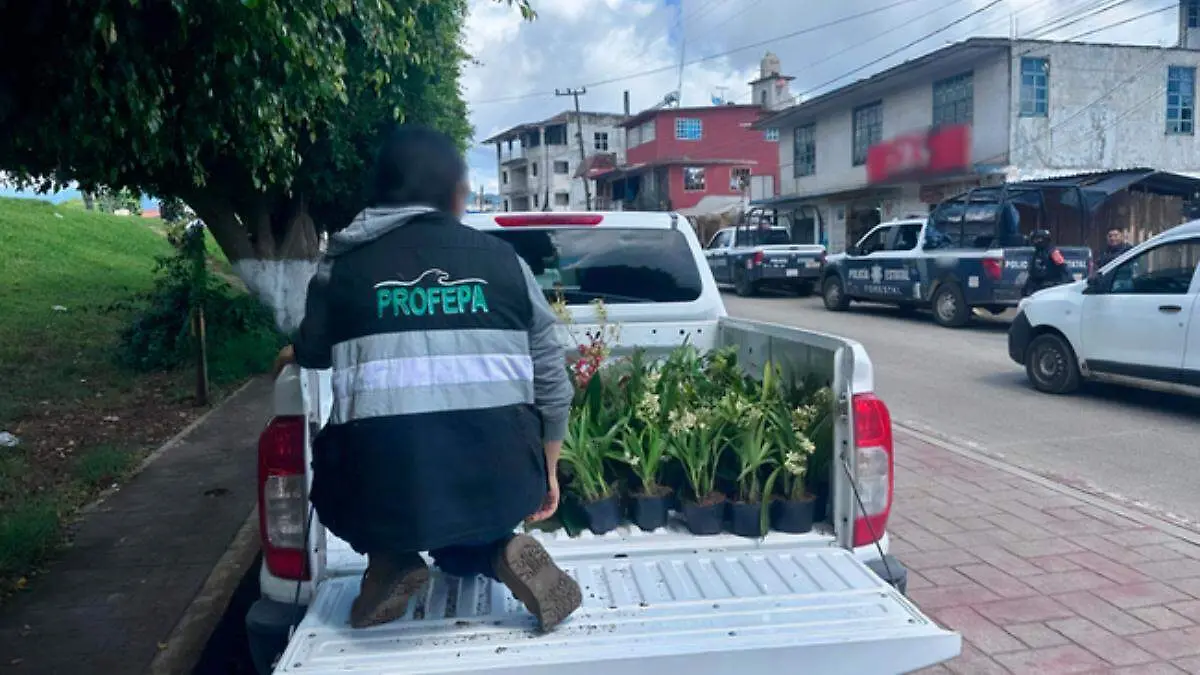 Proyecto nuevo