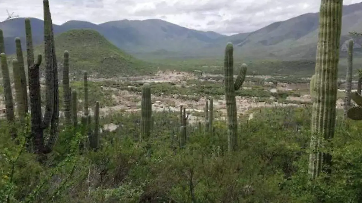 reserva de la biosfera de tehuacan