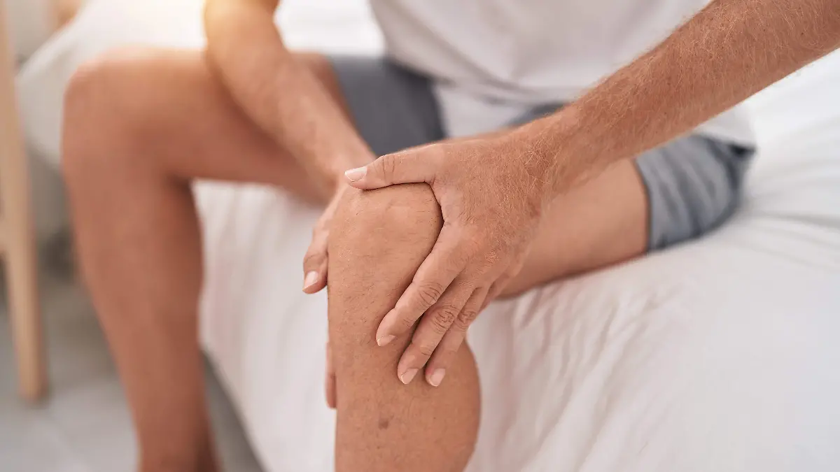 El estudio comparó la fibra prebiótica con ejercicio apoyado por fisioterapia digital