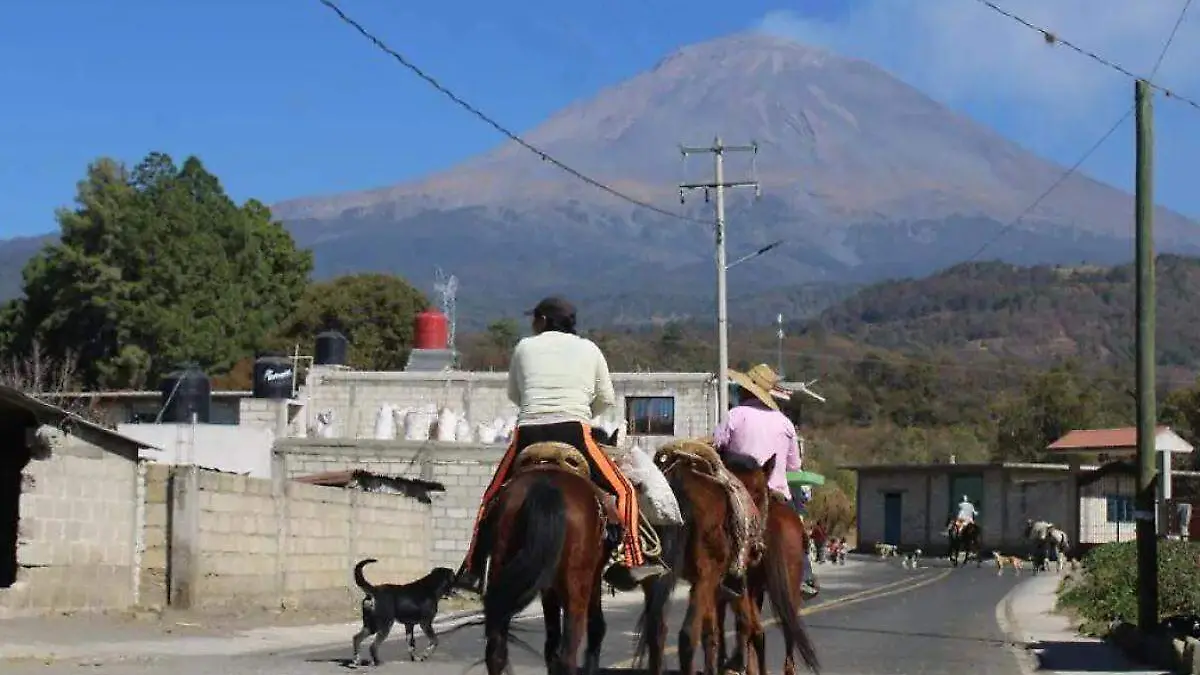 Santa Catarina Tepanapa Tochimilco