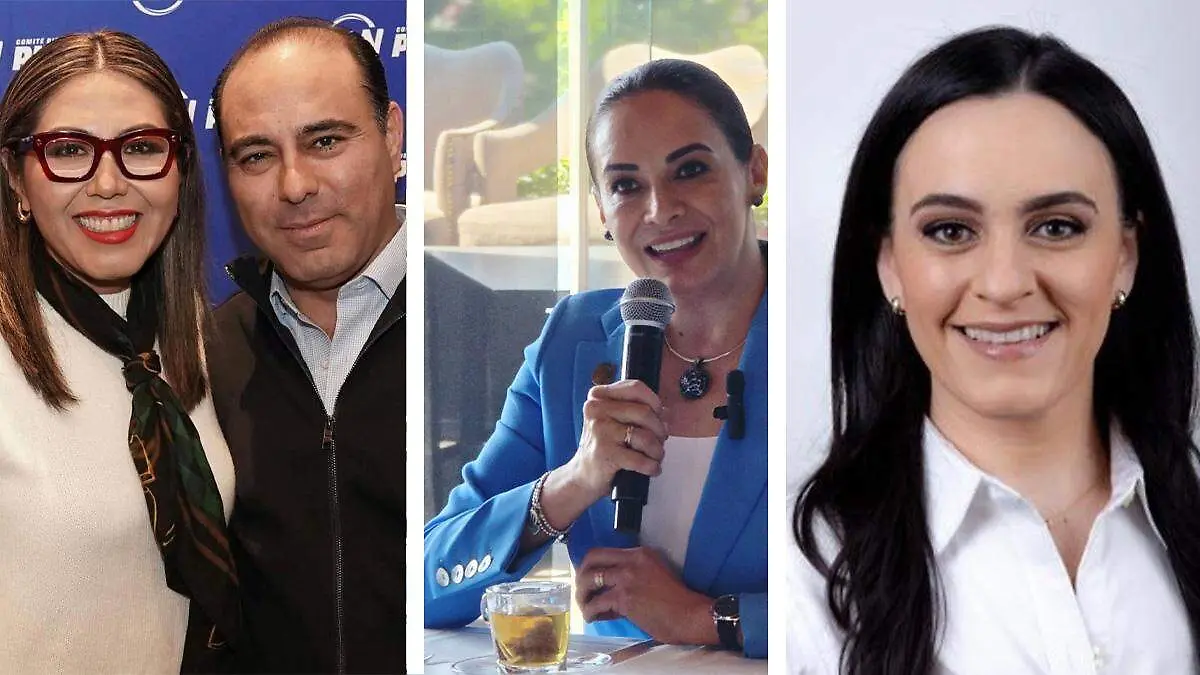 panistas candidaturas