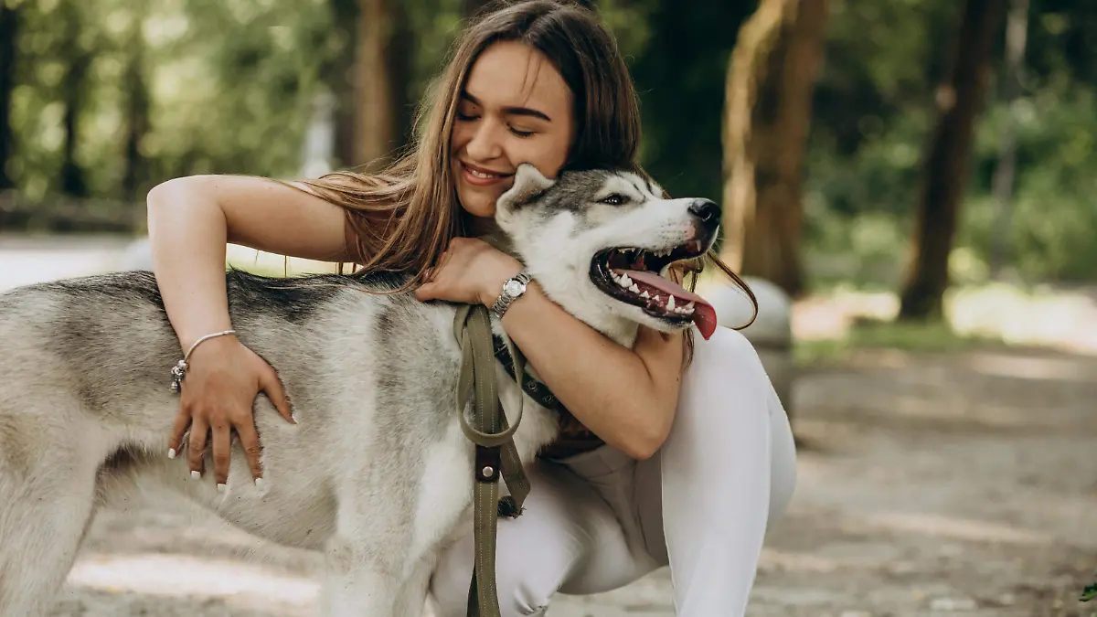 La compañía de un perro puede estar relacionada con la resolución de problemas