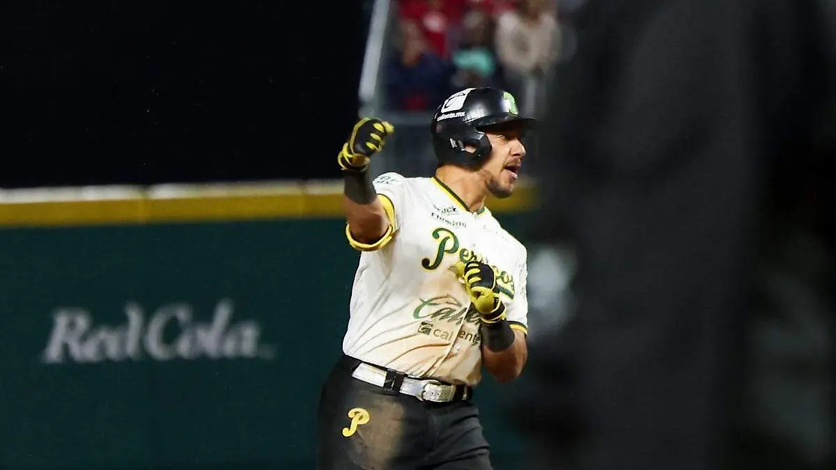 Pericos