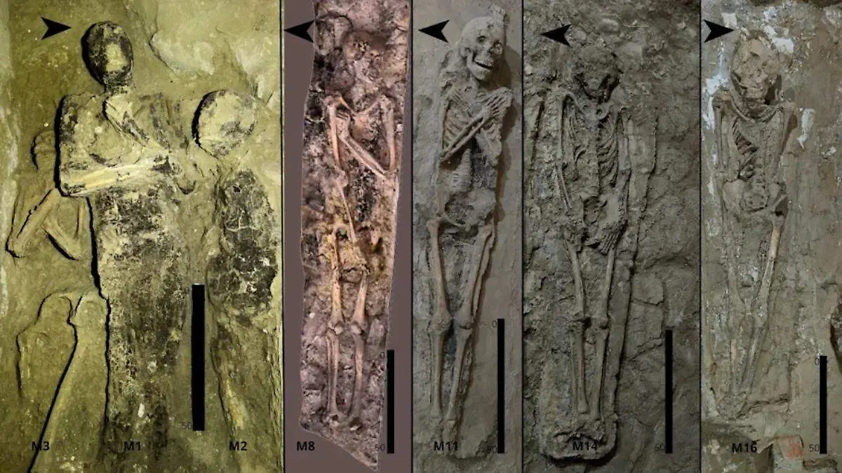 El hallazgo forma parte de un estudio sobre los cambios en las prácticas funerarias de una tumba utilizada desde la XXV Dinastía hasta el período ptolemaico.