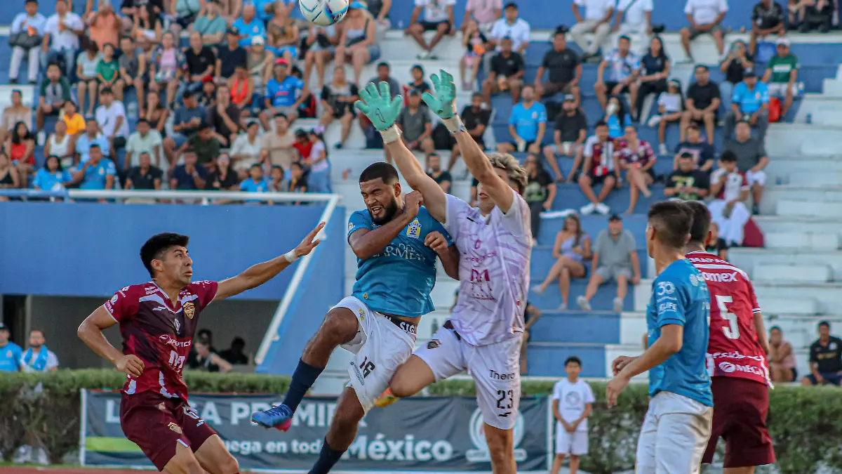 WhatsApp Image 2024-03-01 at 9.54.53 PM