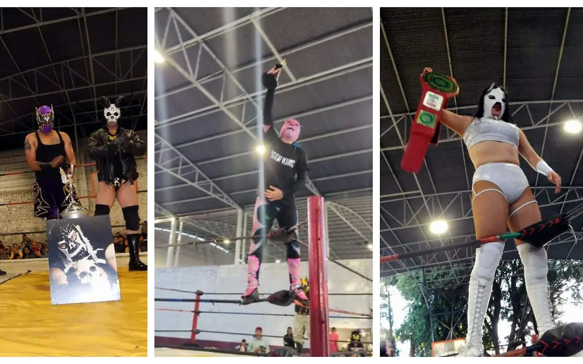 Triunfante-presentación  (2)