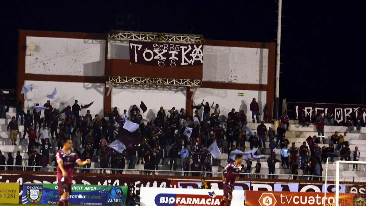 WhatsApp Image 2024-01-31 at 5.59.35 PM