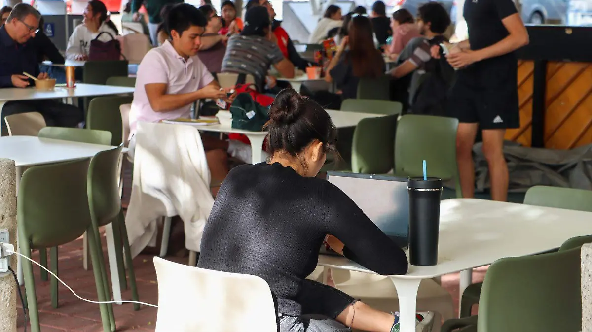 Los comedores escolares deben ofrecer una alimentación más saludable y sostenible,