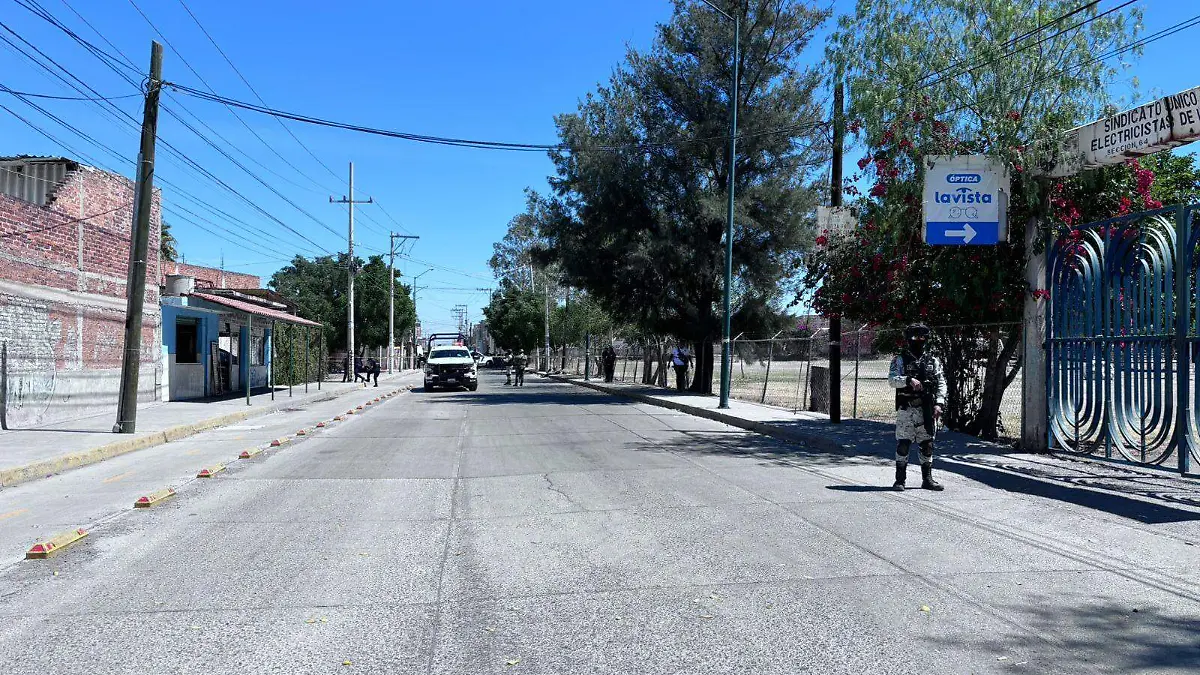 WhatsApp Image 2024-03-07 at 1.45.48 PM