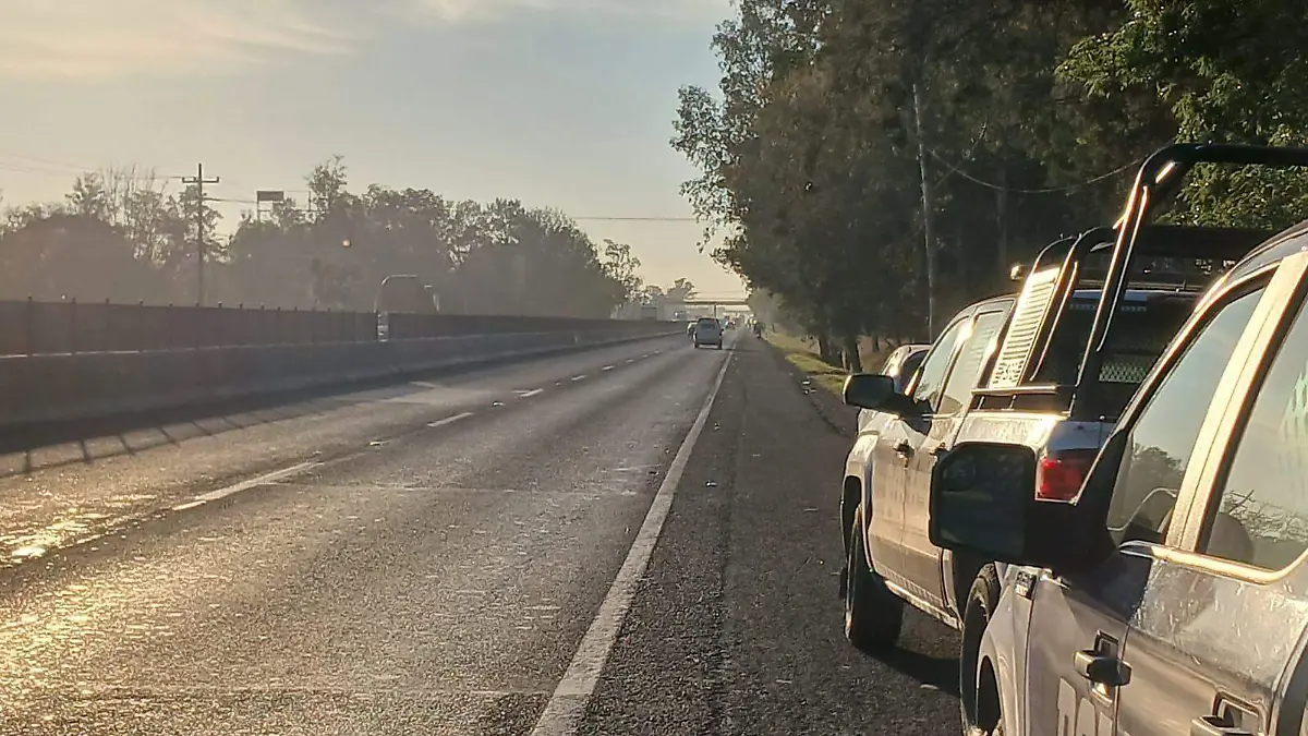 WhatsApp Image 2024-03-15 at 9.04.20 AM (1)