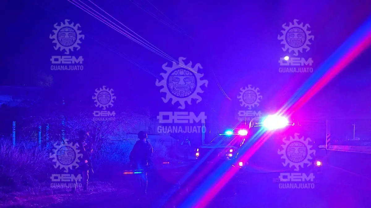 877bb4ac-4894-4191-b6ba-84492efb4f0d