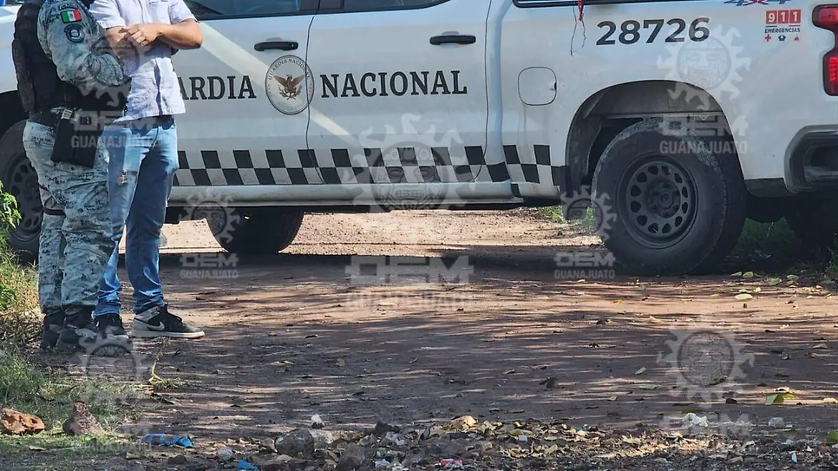 29264ff5-d169-4367-a0b0-373a43fe1bc9