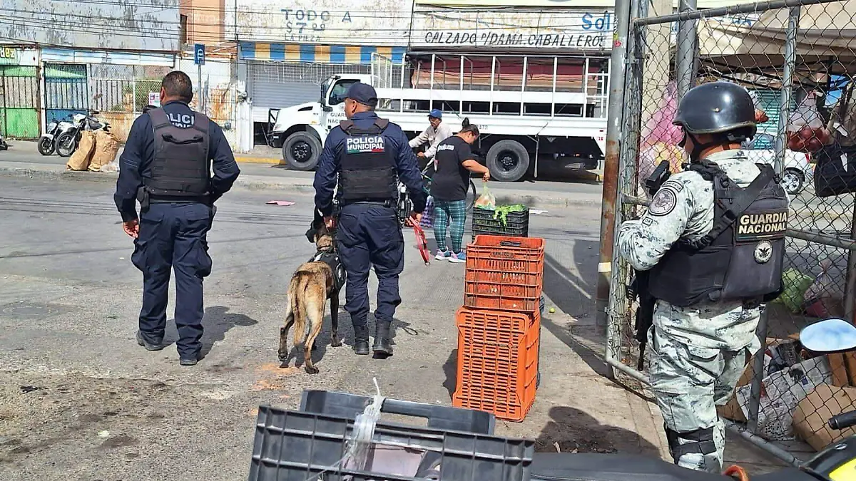 38df06c3-f0df-41b4-9c87-cd85572243aa