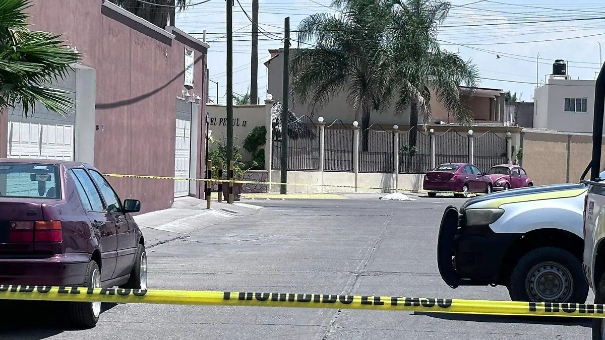 WhatsApp Image 2024-04-17 at 2.17.45 PM