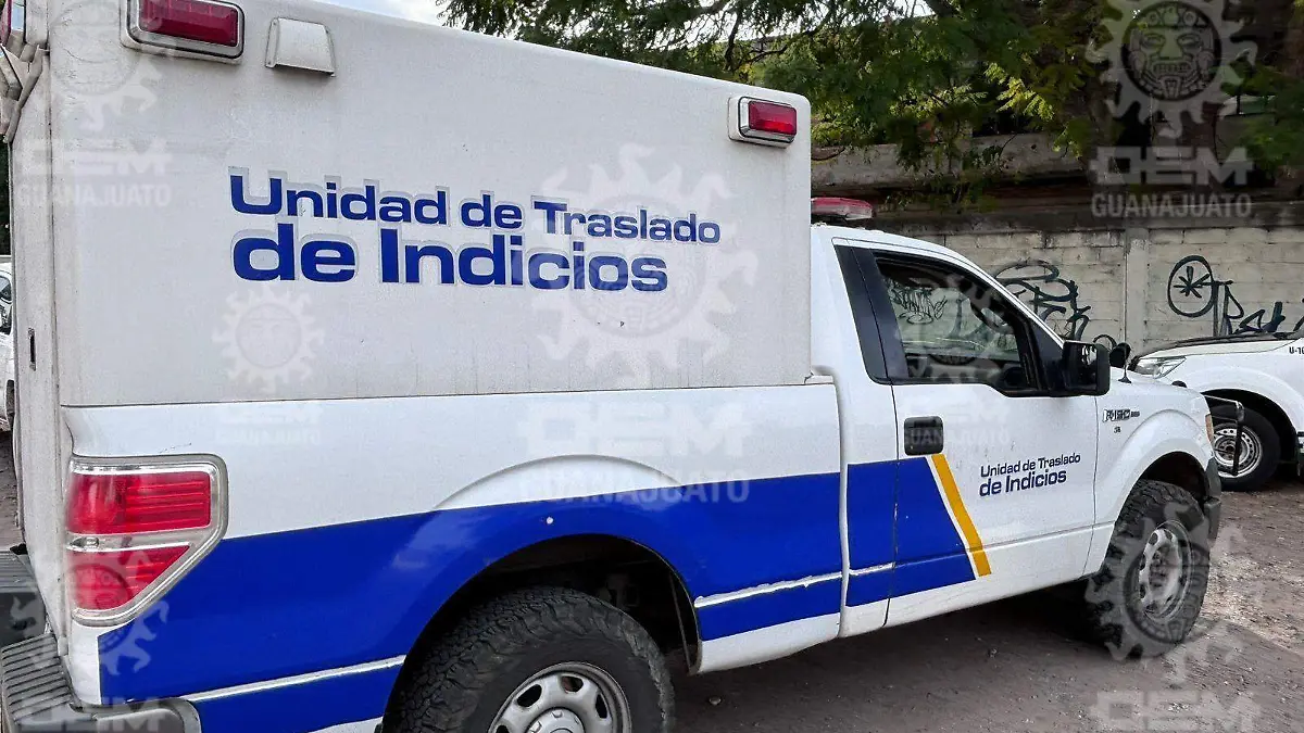 70680e98-ba42-4730-be6f-55c3c6c73f45 (1)