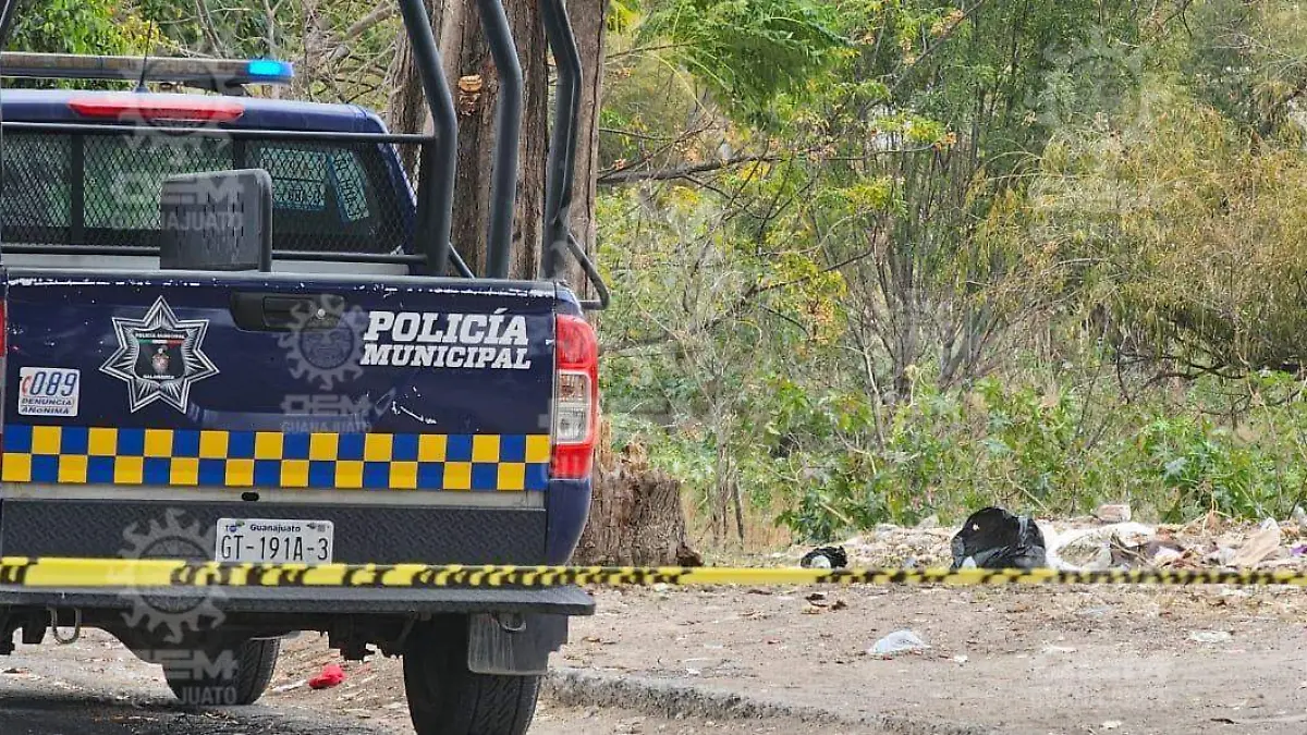 ddff2392-9f10-4555-b347-1478505c86e9