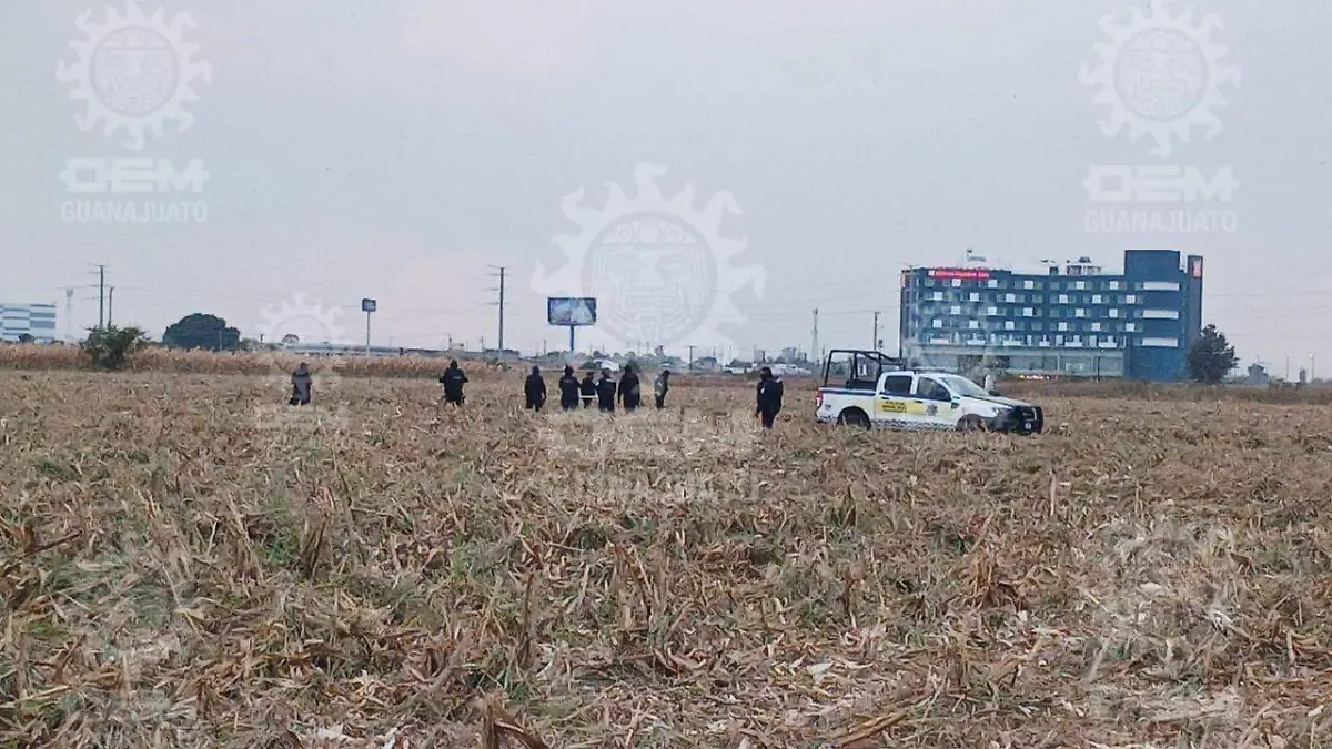 WhatsApp Image 2023-11-21 at 5.51.46 PM (1)