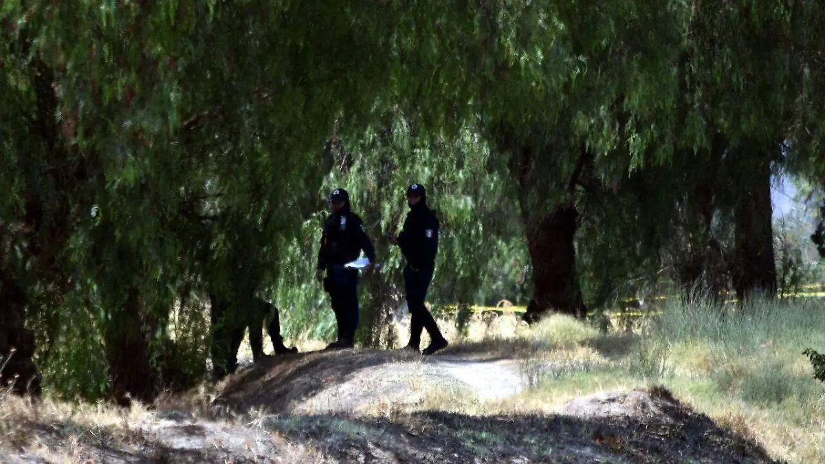 WhatsApp Image 2024-04-23 at 12.26.42 PM