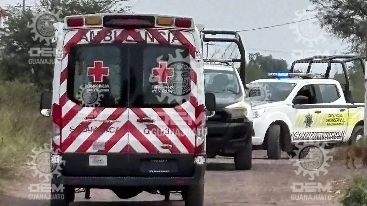 6925a4d4-8eaa-4ee0-8b5e-9b4f910d6aca (1)