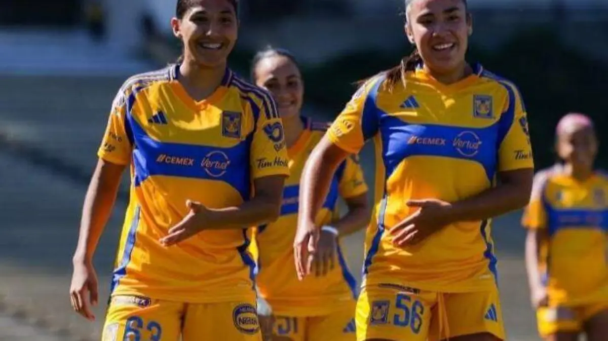 6c823cd1-ce4b-4d14-a375-550708d9d325