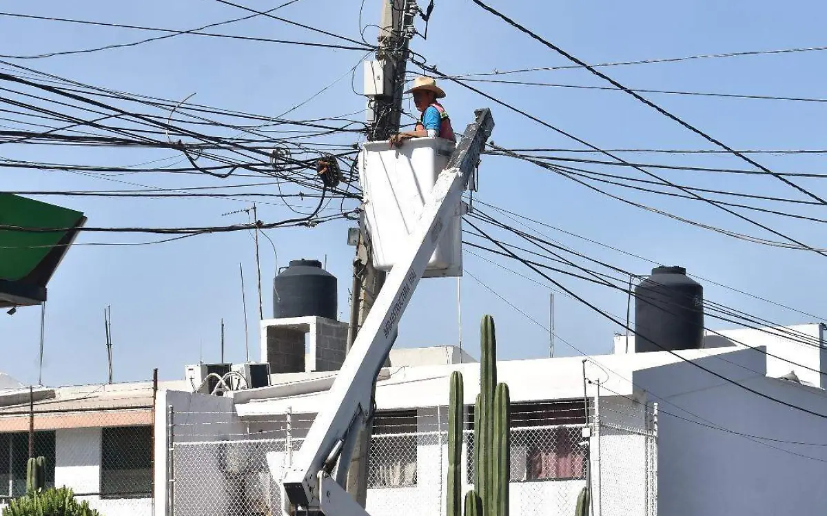 Image 2024-04-16 at 12.38.46 PM (3)