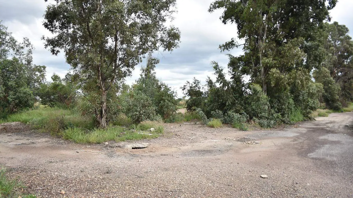 Image 2024-05-16 at 1.48.30 PM (2)