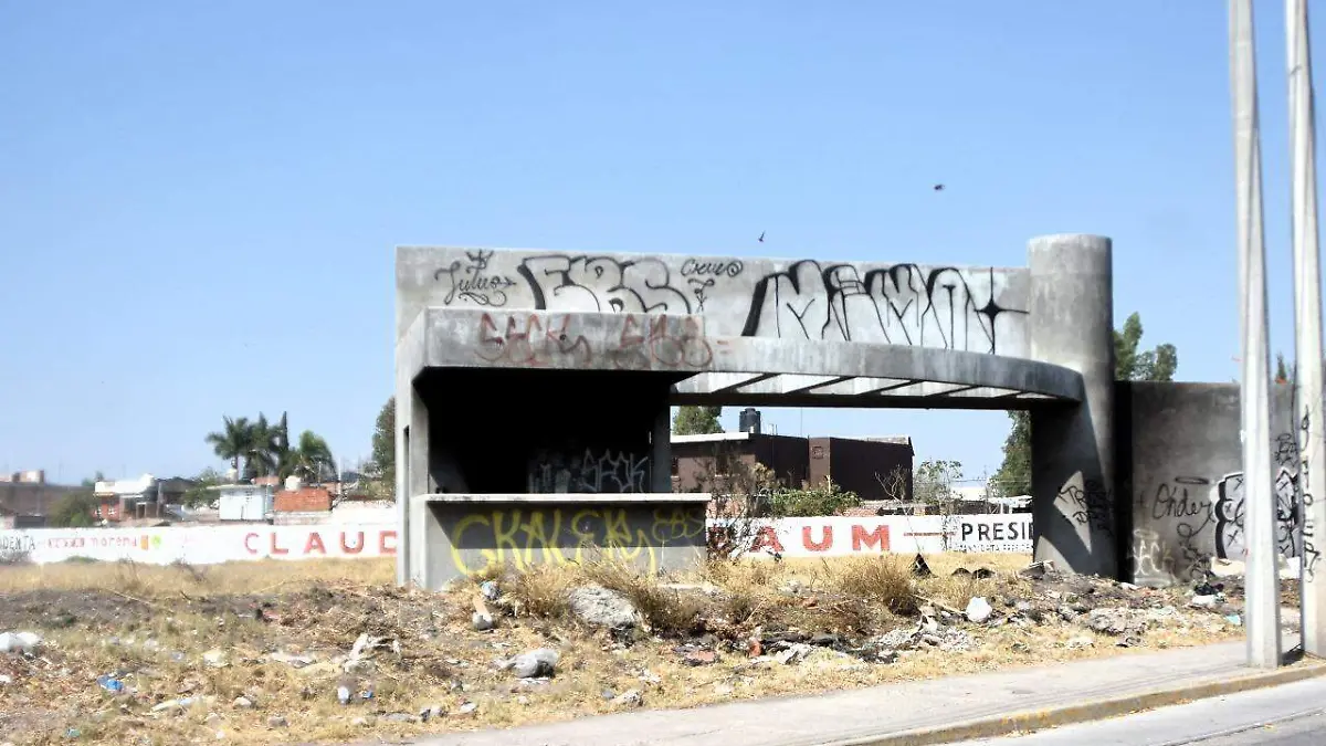 WhatsApp Image 2024-05-24 at 11.09.26 AM (1)