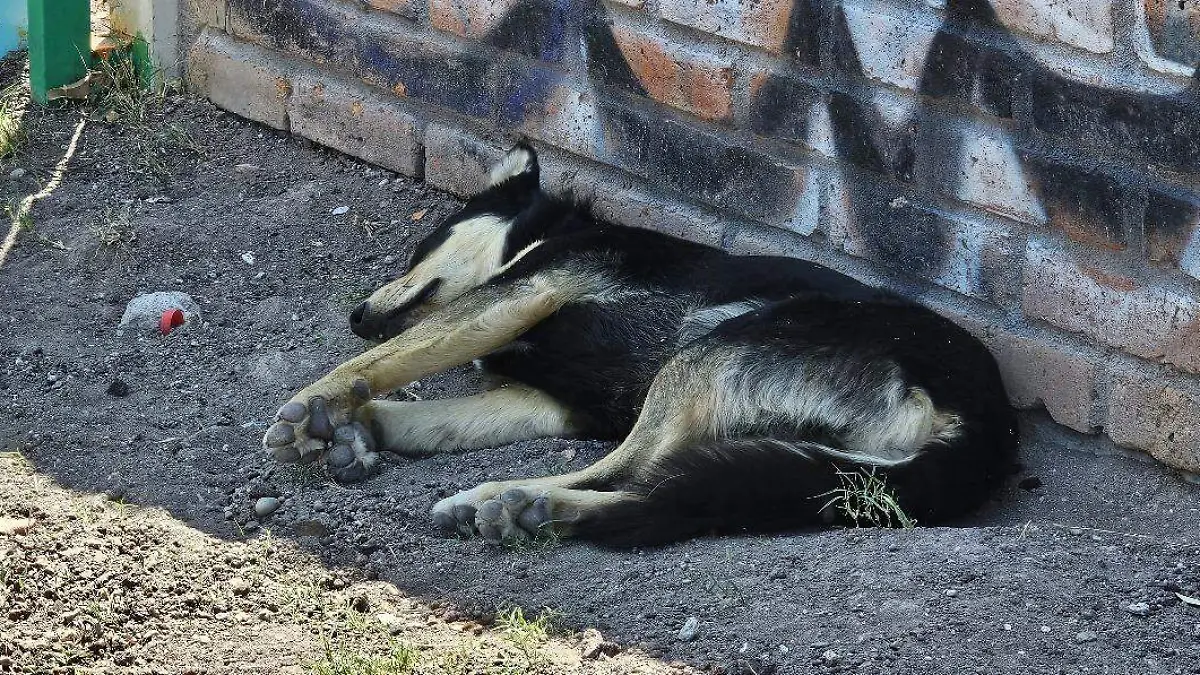 WhatsApp Image 2024-04-13 at 1.53.57 PM (2)