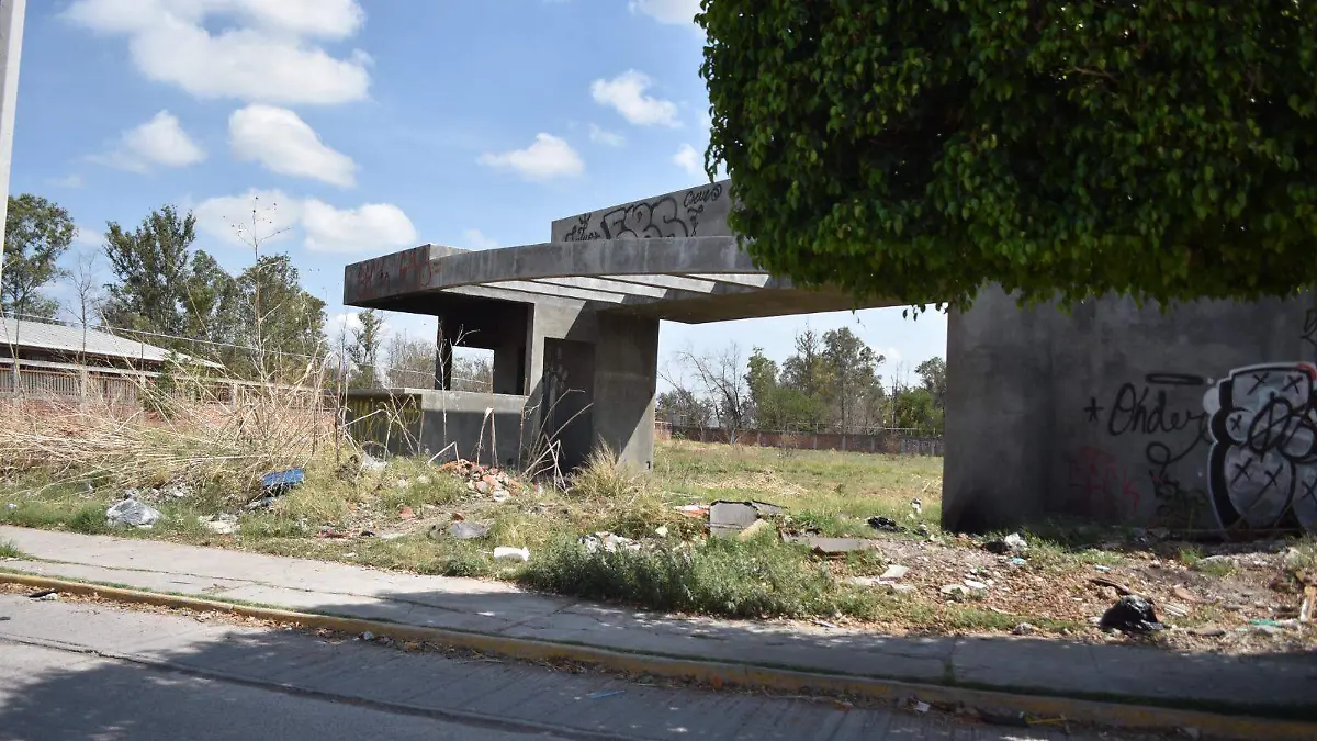 Image 2024-05-22 at 4.55.45 PM (2)